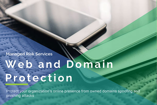 Web and Domain Protection